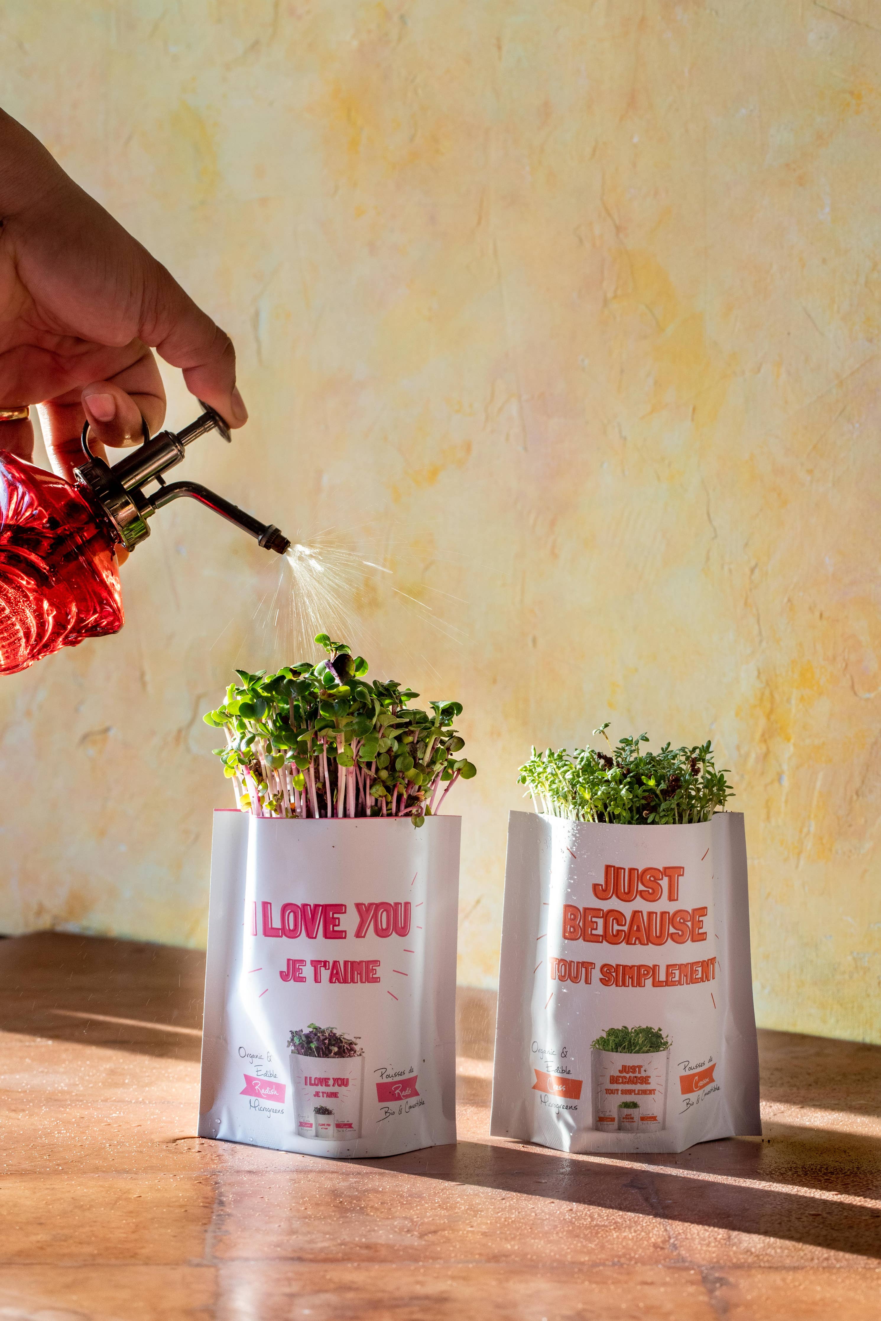 You're Kind of a Big Dill Organic Grow Card | GiftaGreen