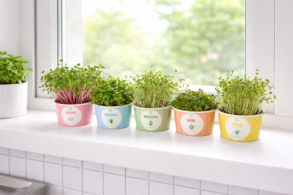 Gift Box - Mother's Day Sow and Grow Organic Microgreens