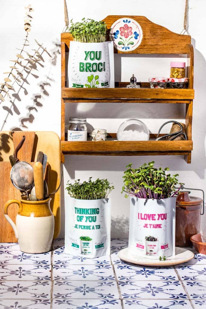 You're Kind of a Big Dill Organic Grow Card | GiftaGreen
