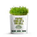 You're Kind of a Big Dill Organic Grow Card | GiftaGreen