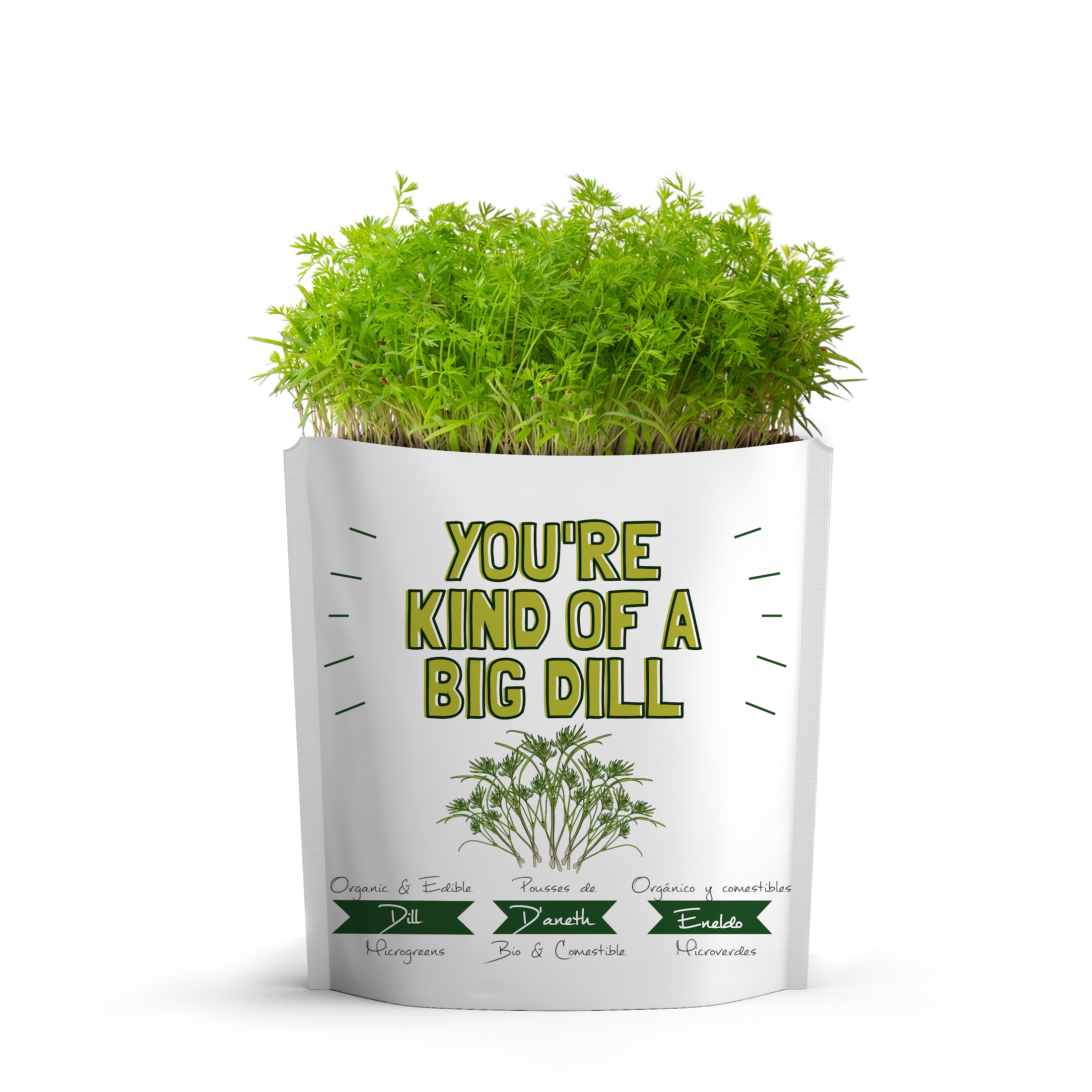 You're Kind of a Big Dill Organic Grow Card | GiftaGreen