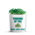 Thinking of You Organic Microgreens Grow Card | GiftaGreen