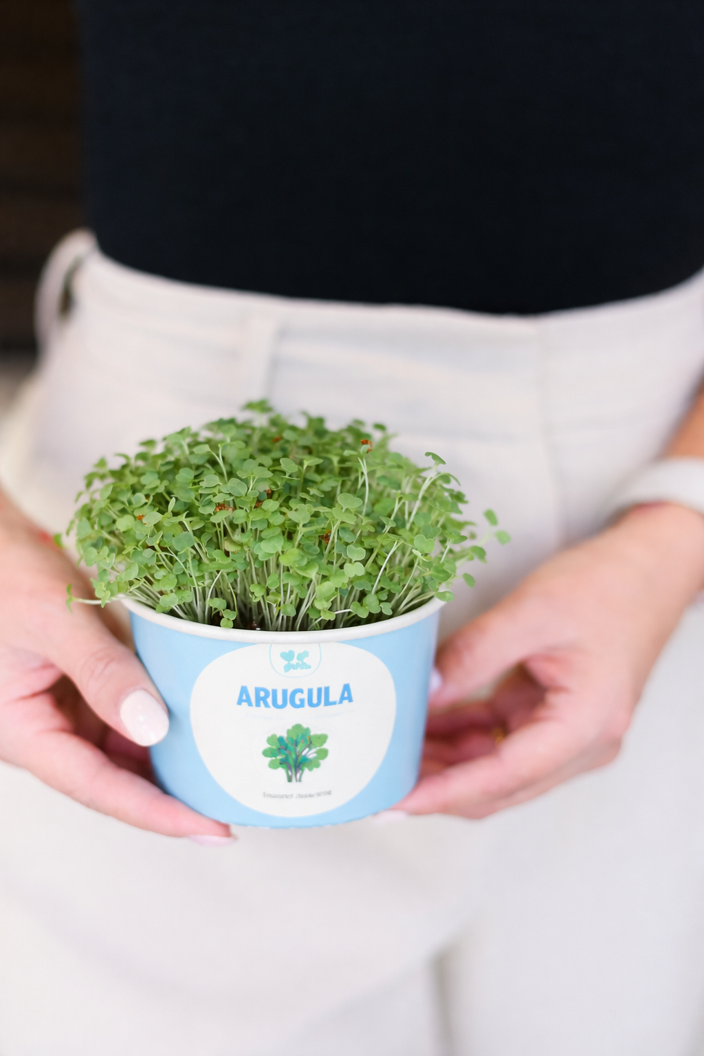 Gift Box - Mother's Day Sow and Grow Organic Microgreens