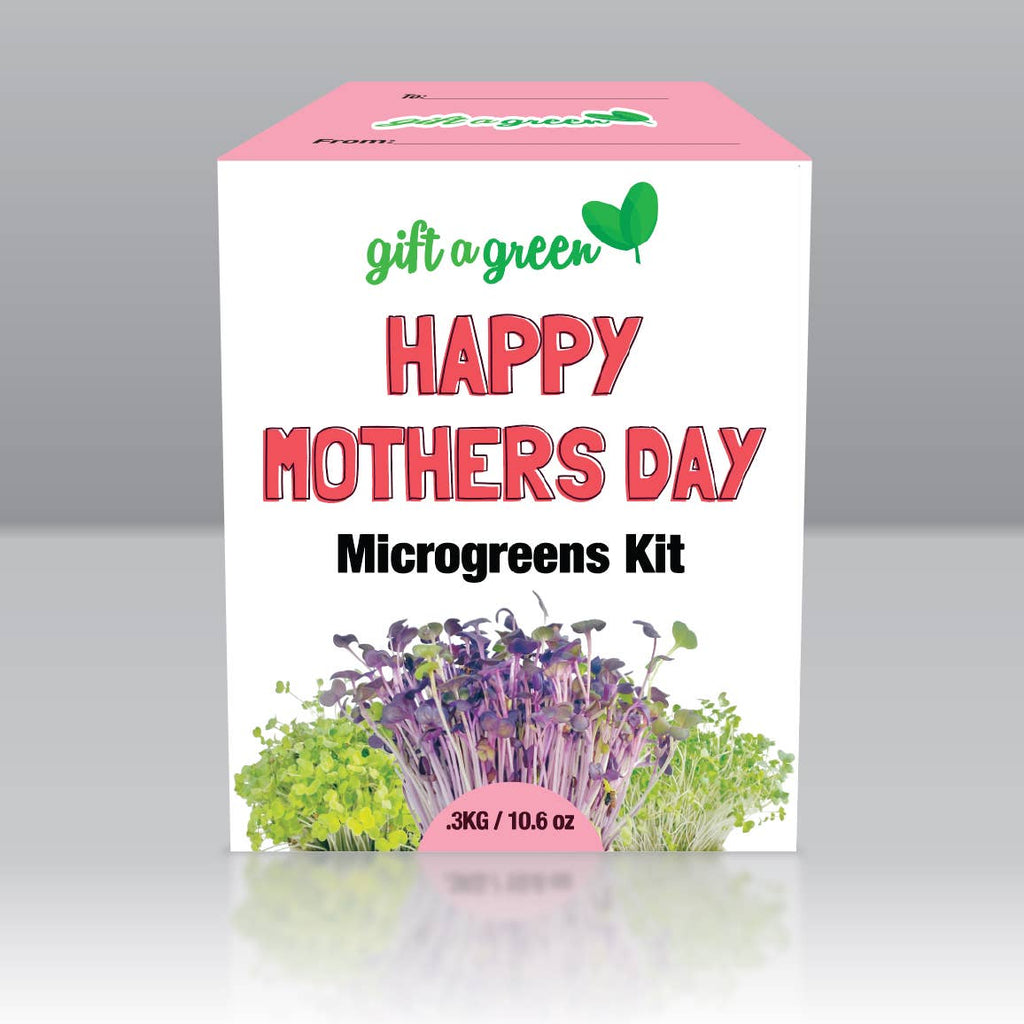 Gift Box - Mother's Day Sow and Grow Organic Microgreens